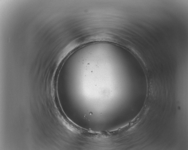 X0000077361082200610271848