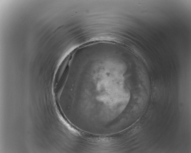 X0000077361084200610271848