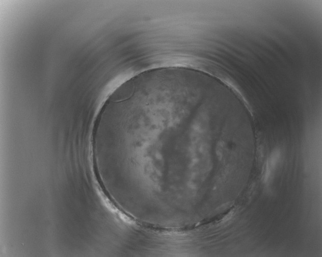 X0000077361088200610271848