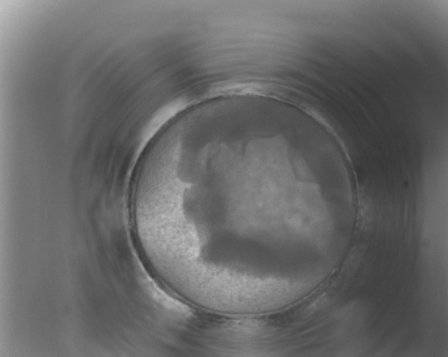 X0000077361090200610271848