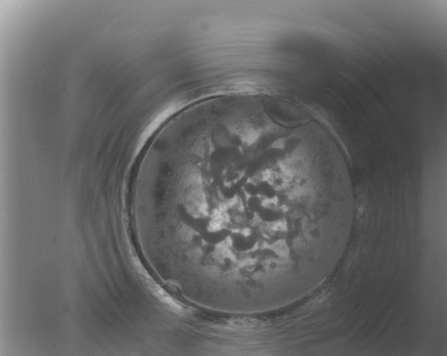 X0000077361091200610271848