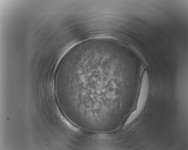 X0000077361092200610271848