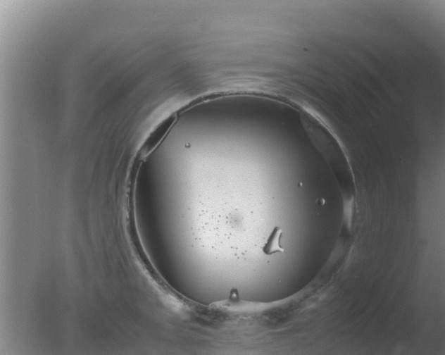 X0000077361093200610271848