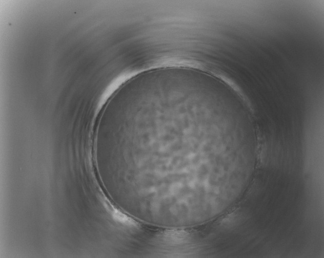 X0000077361094200610271848