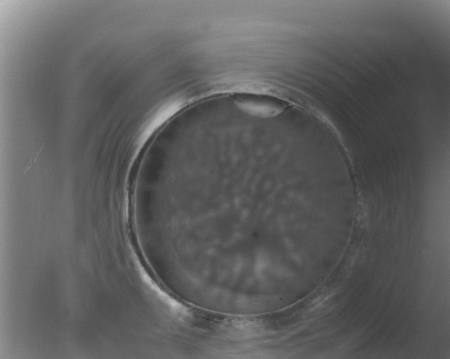 X0000077361095200610271848