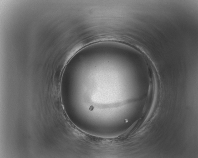 X0000077361097200610271848