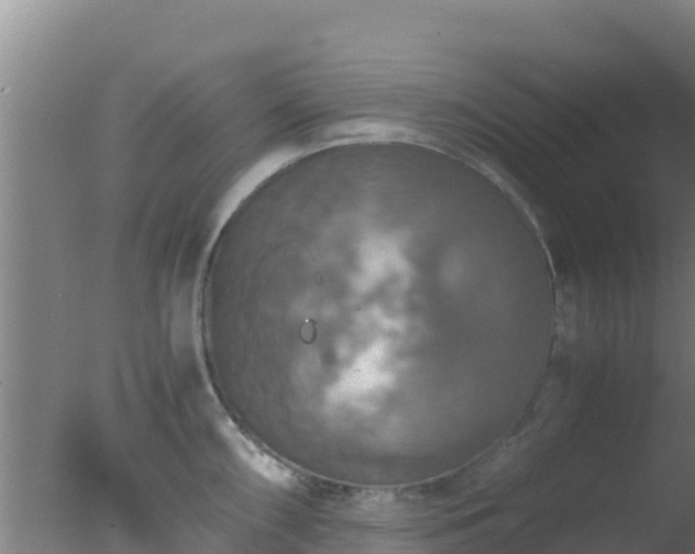 X0000077361098200610271848