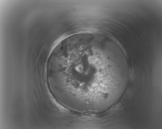 X0000077361099200610271848