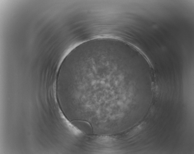 X0000077361100200610271848