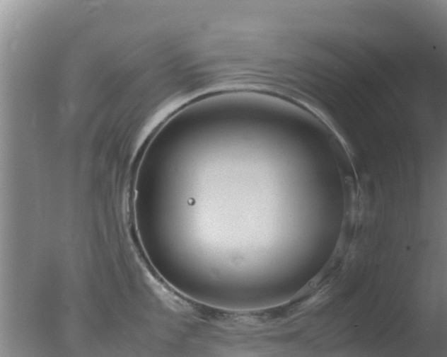 X0000077361101200610271848