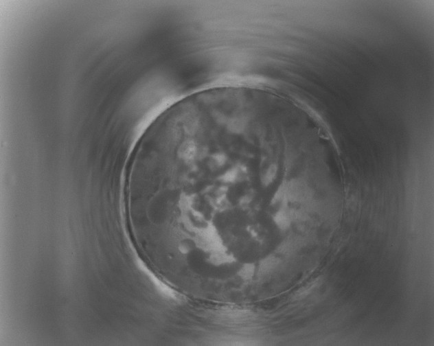 X0000077361103200610271848