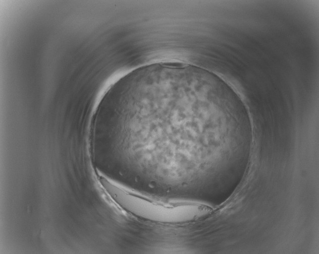 X0000077361104200610271847