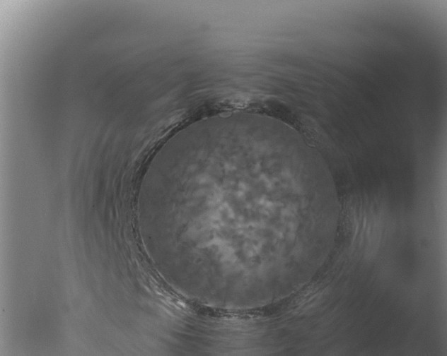 X0000077361105200610271847