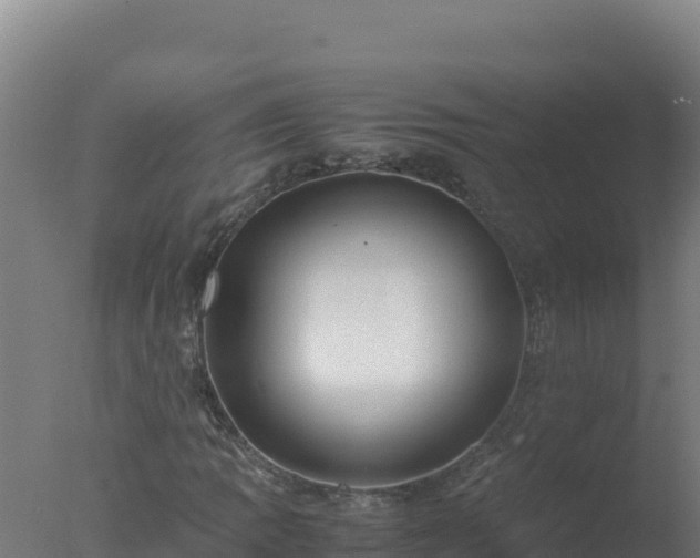 X0000077361109200610271847