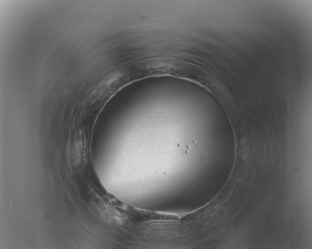 X0000077361111200610271847