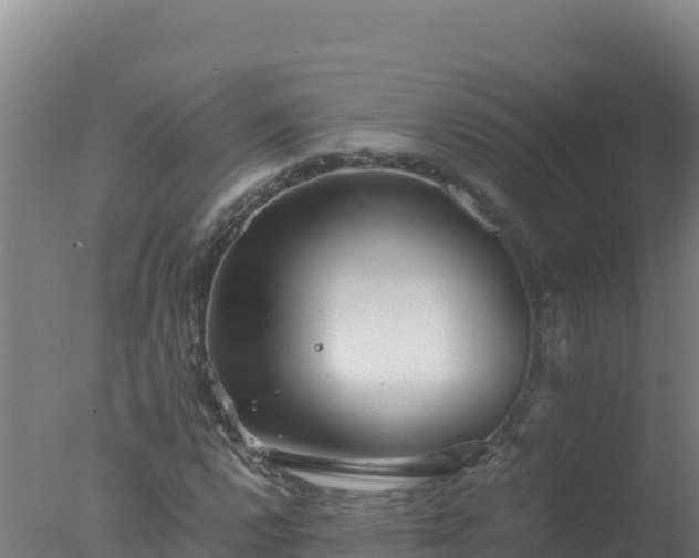 X0000077361112200610271847