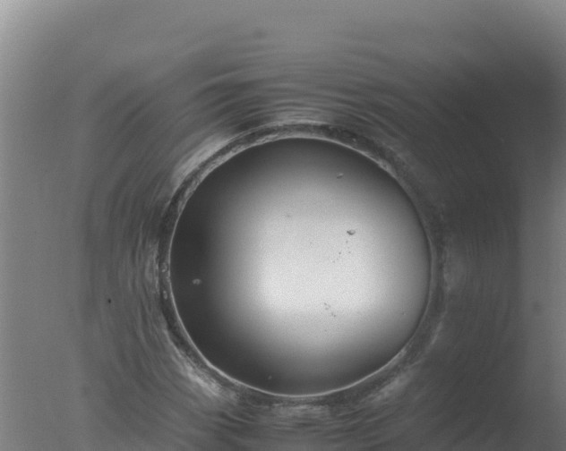 X0000077361113200610271847