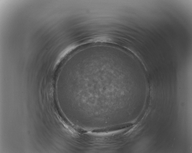 X0000077361115200610271847