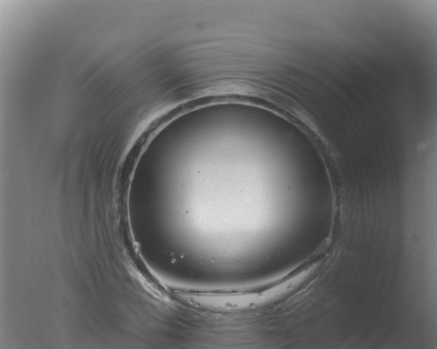 X0000077361116200610271847