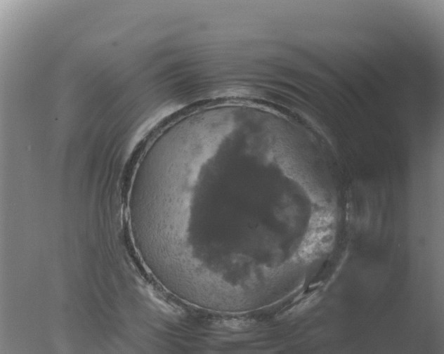 X0000077361117200610271847