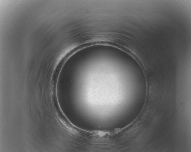 X0000077361119200610271847