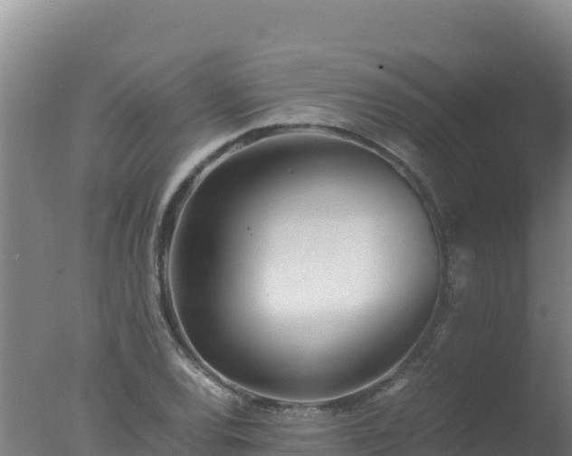 X0000077361120200610271847