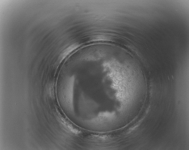 X0000077361121200610271847