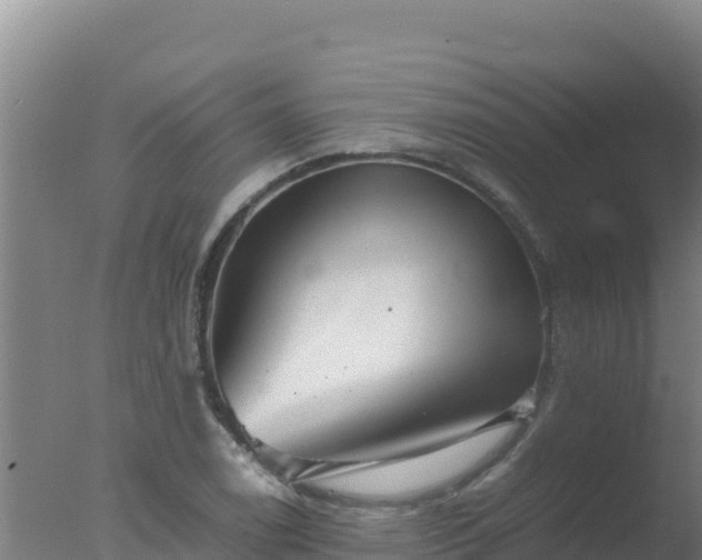 X0000077361122200610271847