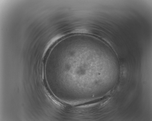 X0000077361123200610271847