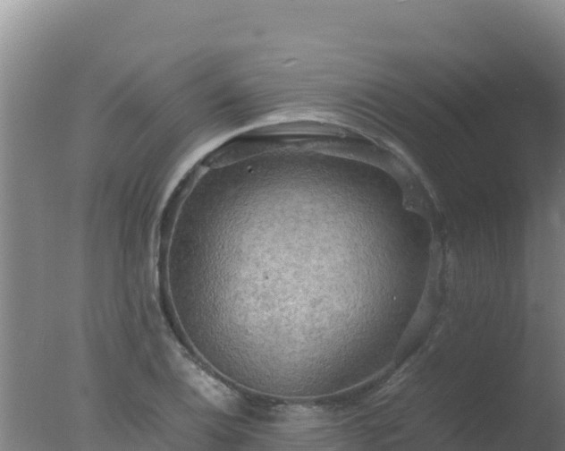 X0000077361124200610271847