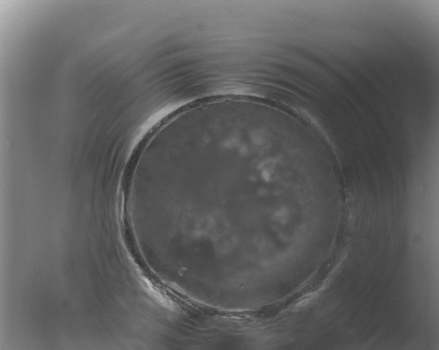 X0000077361125200610271847