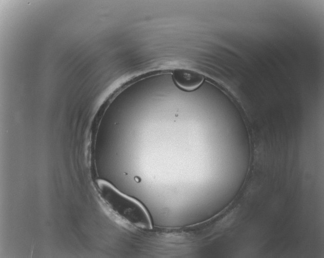 X0000077361126200610271847