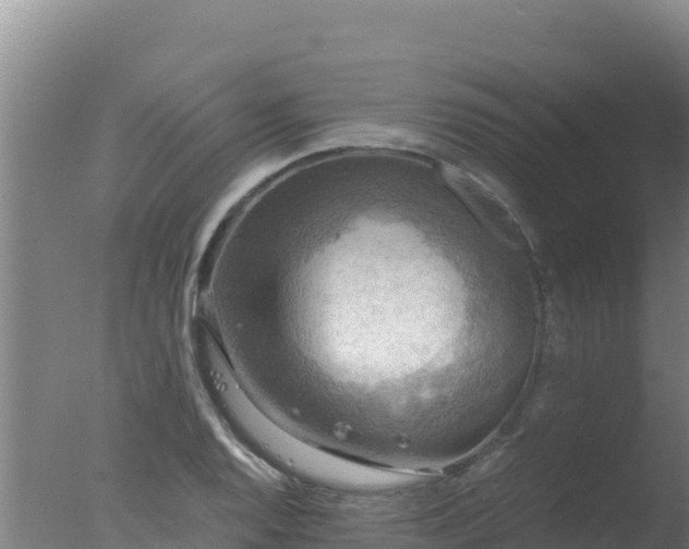 X0000077361128200610271847