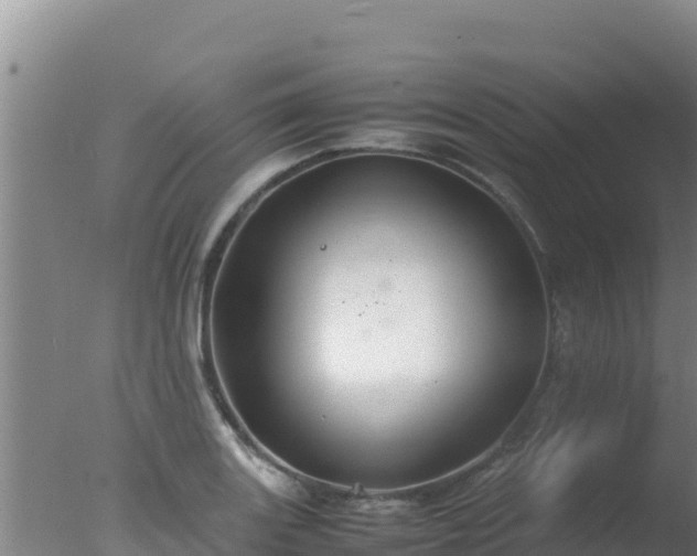 X0000077361131200610271847