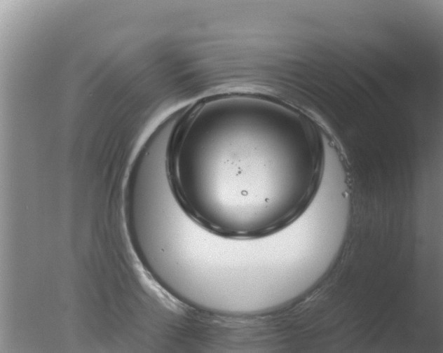 X0000077361132200610271847