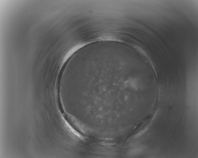 X0000077361141200610271847