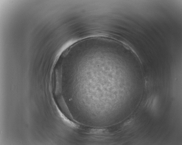 X0000077361143200610271847