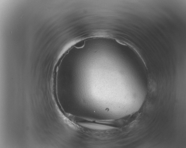 X0000077361147200610271847