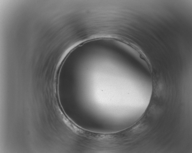 X0000077361148200610271847