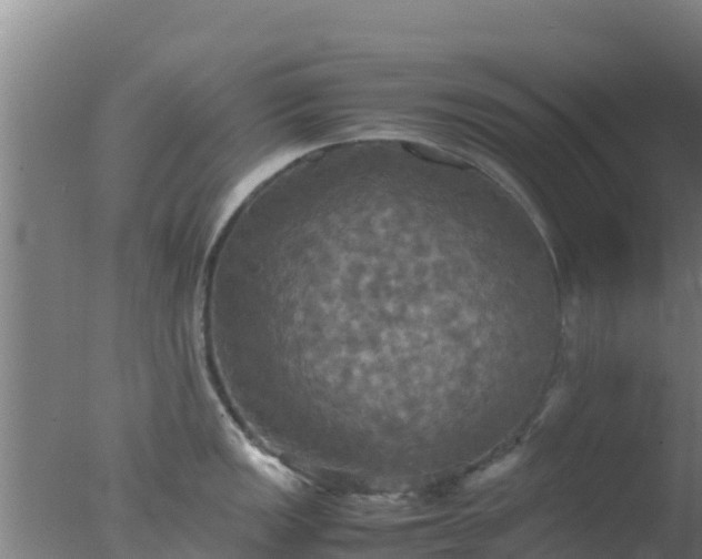 X0000077361149200610271847