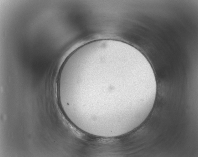 X0000077361150200610271847