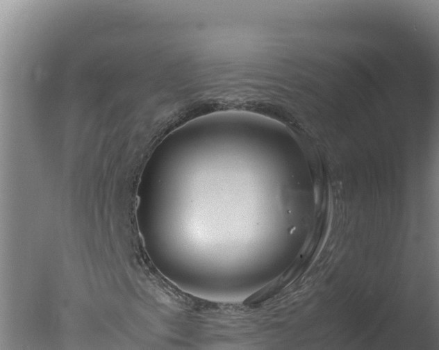 X0000077361153200610271847