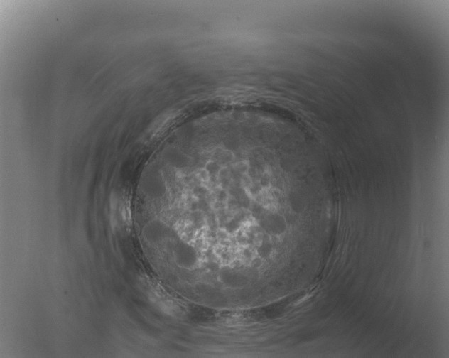 X0000077361155200610271847