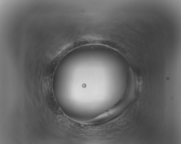 X0000077361157200610271847