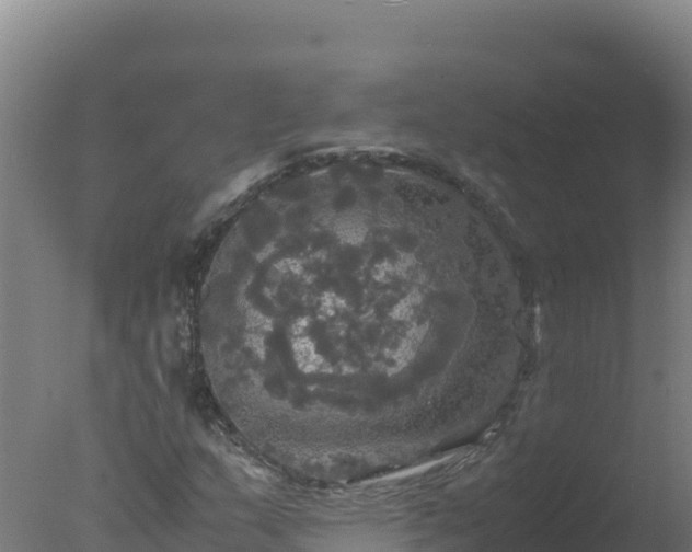 X0000077361159200610271847