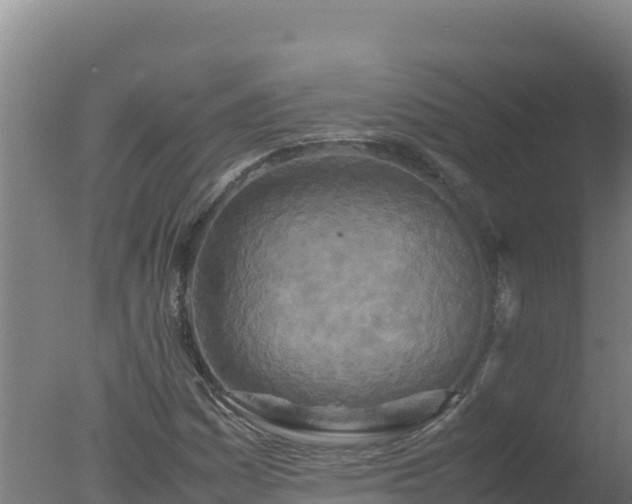 X0000077361161200610271847