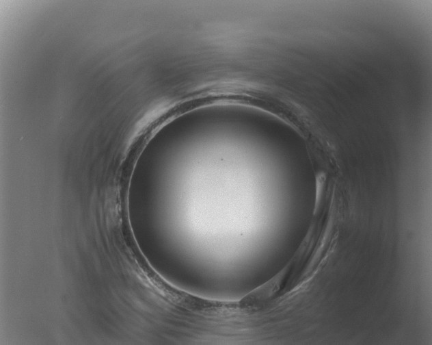 X0000077361164200610271846