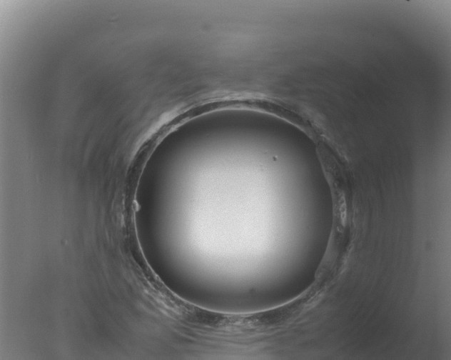 X0000077361165200610271846