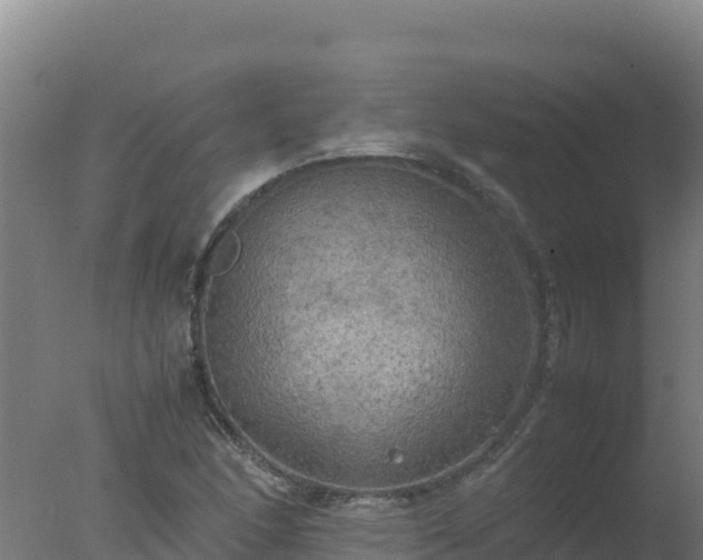 X0000077361166200610271846