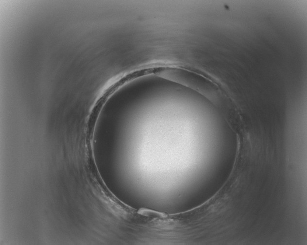 X0000077361168200610271846